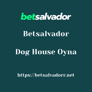 Betsalvador Dog House Oyna
